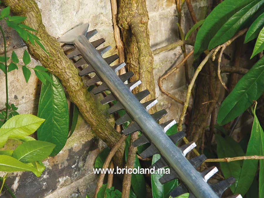 Taille haie AHS 60-26 - Bosch-2267