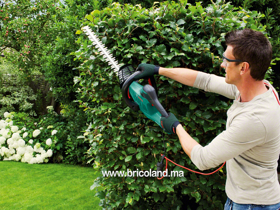 Taille haie AHS 60-26 - Bosch-615