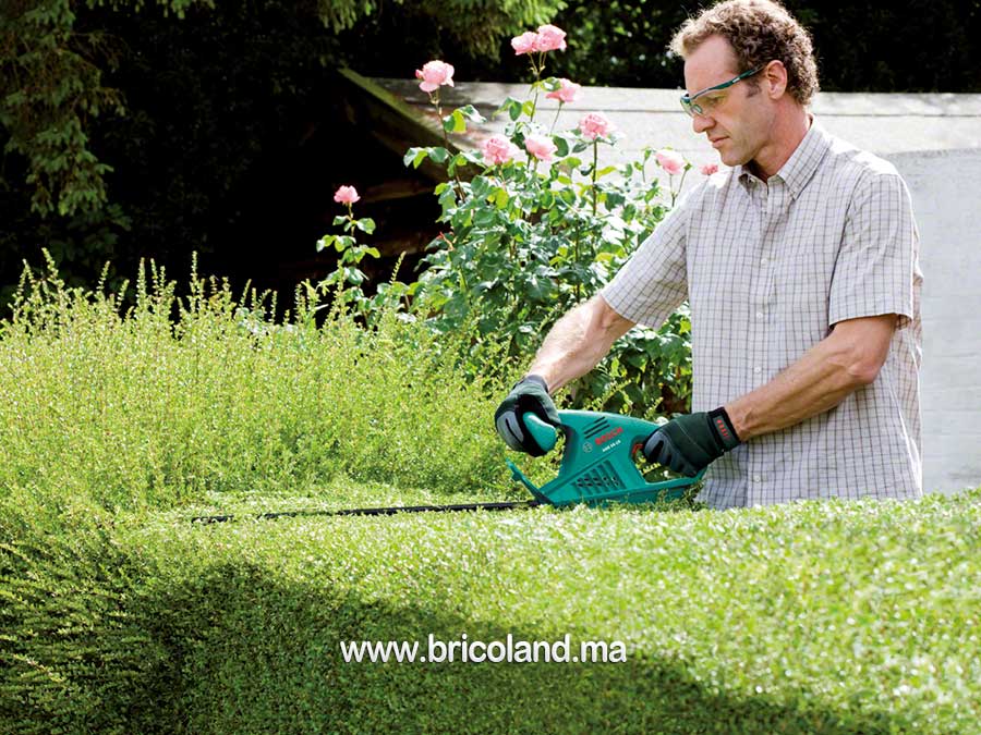 Taille haie AHS 45-16 - Bosch-3129