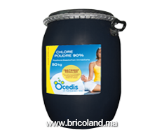 Chlore en poudre 50 Kg - Ocedis-thumbnail