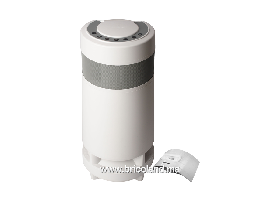 Totems musicaux T100 W - Ocedis-0