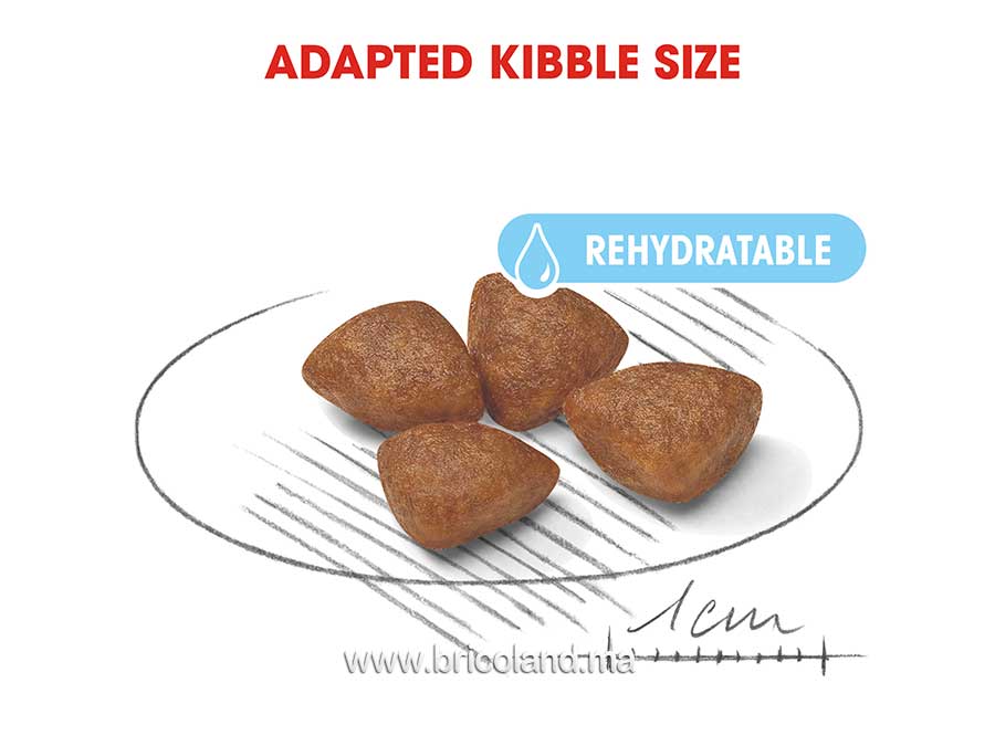Croquettes pour chienne et chiot - Mini starter M&B 1 Kg - Royal Canin -12369