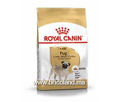 Croquette pour chien Pug adulte + de 10 mois - 1.5 Kg - Royal Canin-thumbnail