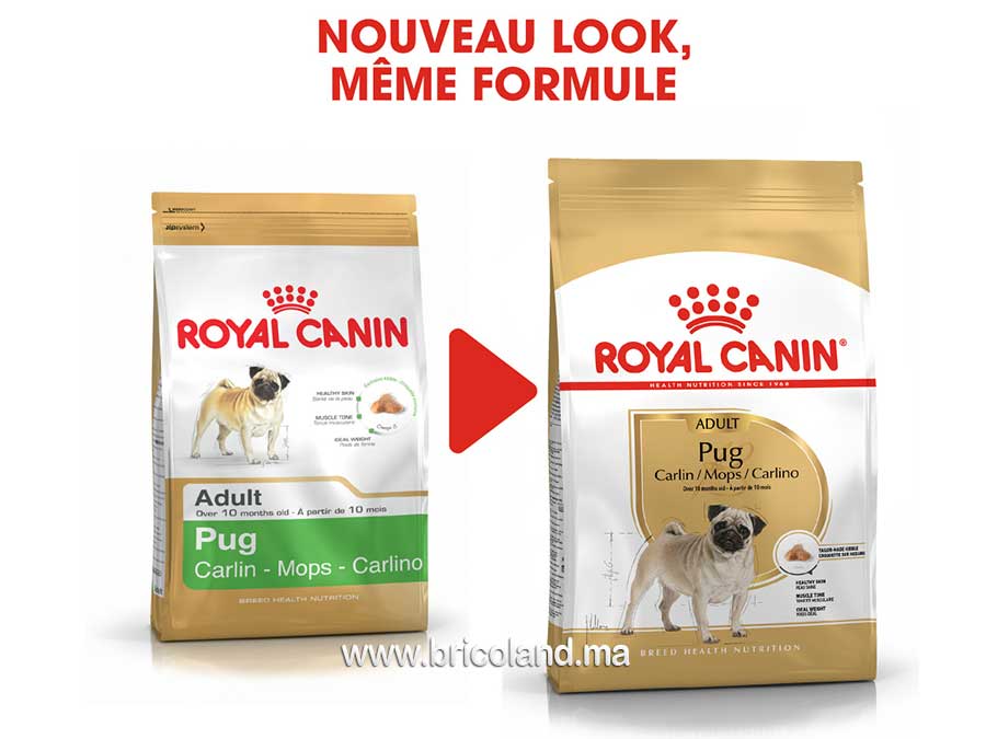 Croquette pour chien Pug adulte + de 10 mois - 1.5 Kg - Royal Canin-12202