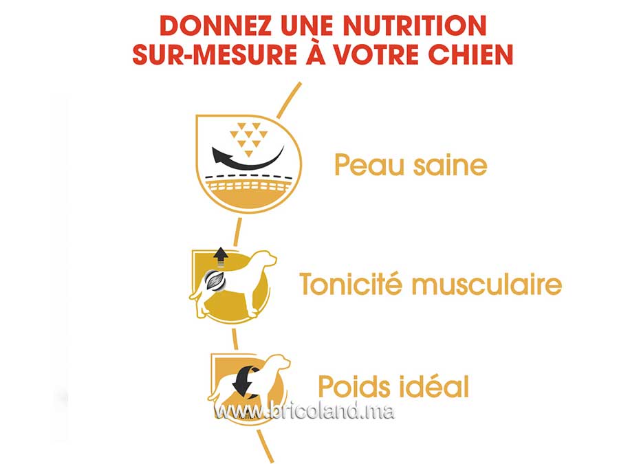 Croquette pour chien Pug adulte + de 10 mois - 1.5 Kg - Royal Canin-12203