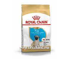 Croquette pour chien Pug Puppy - 1.5 Kg - Royal Canin-thumbnail