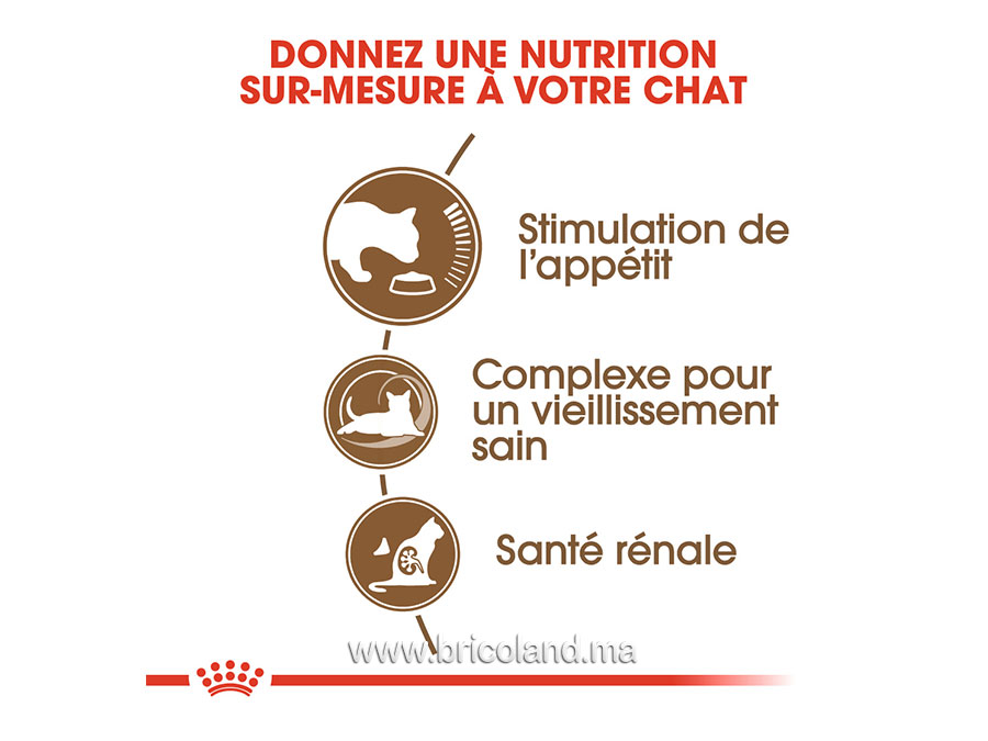 Ageing +12 pour chat - 2 Kg - Royal Canin-12332