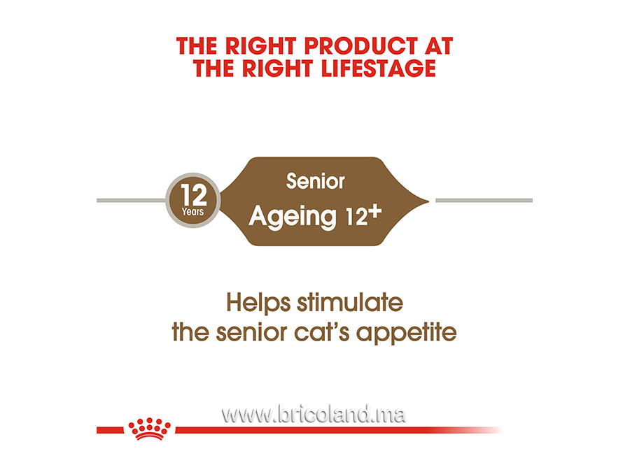 Ageing +12 en sauce pour chat - Lot de 12X85G - Royal Canin-12358