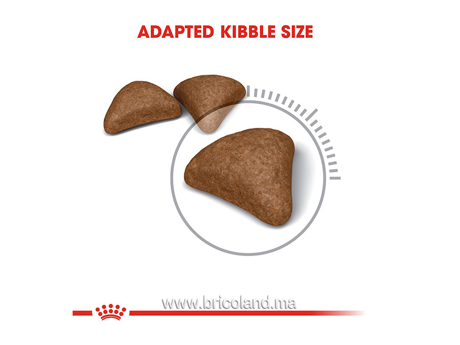Hairball Care pour chat - 2 Kg - Royal Canin-12251