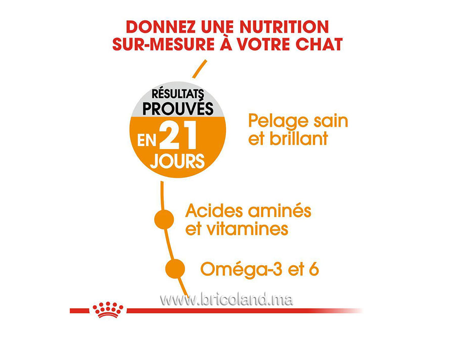 Hair & Skin Care pour chat - 2 Kg - Royal Canin-12262