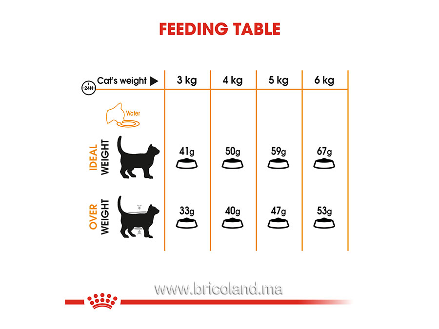 Hair & Skin Care pour chat - 2 Kg - Royal Canin-12261
