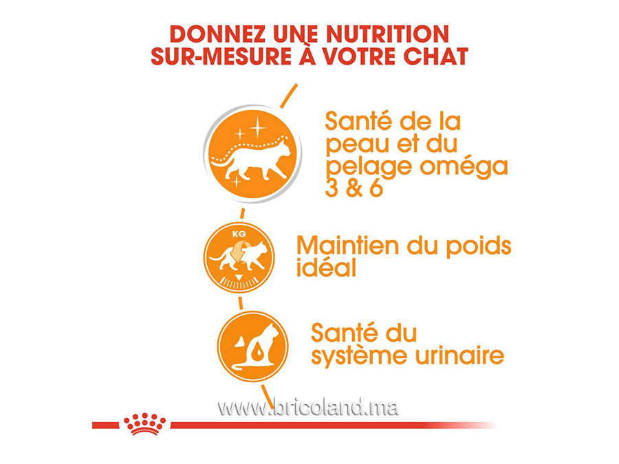 Intense Beauty en sauce pour chat - Lot de 12X85G - Royal Canin-12133