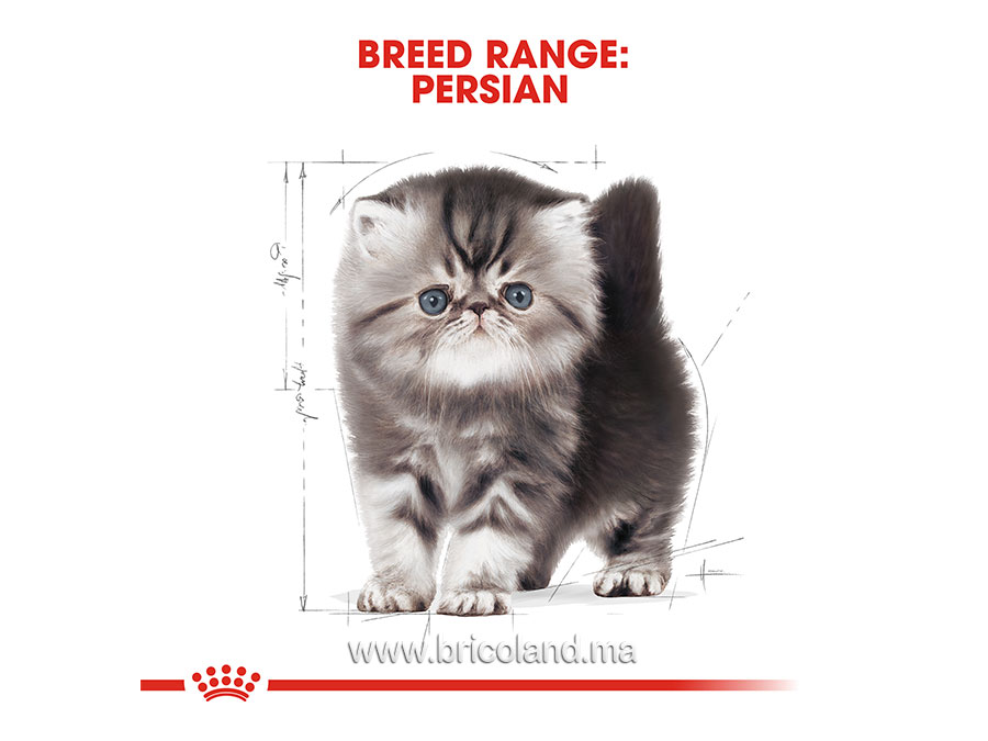 Croquettes pour chaton Kitten Persian - 2 Kg - Royal Canin-12116