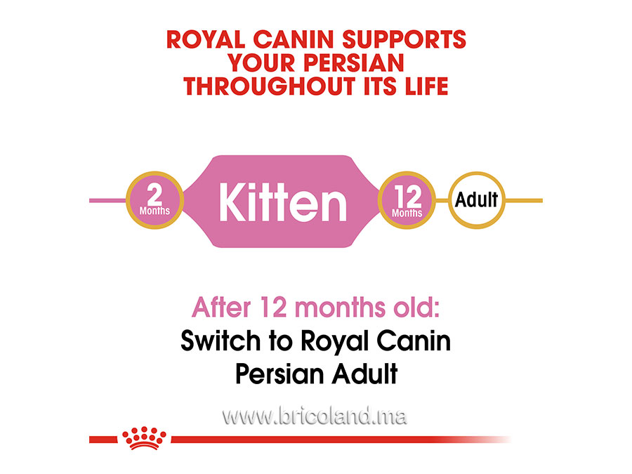 Croquettes pour chaton Kitten Persian - 2 Kg - Royal Canin-12117