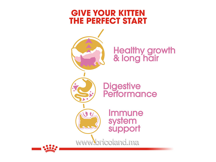 Croquettes pour chaton Kitten Persian - 2 Kg - Royal Canin-12119