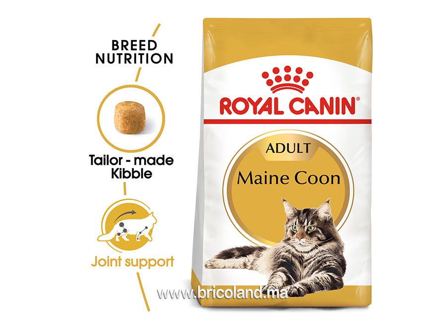 Croquettes pour chat Maine Coon - 2 Kg - Royal Canin-0