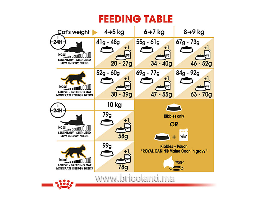 Croquettes pour chat Maine Coon - 2 Kg - Royal Canin-12234