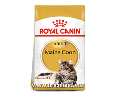 Croquettes pour chat Maine Coon - 2 Kg - Royal Canin-thumbnail