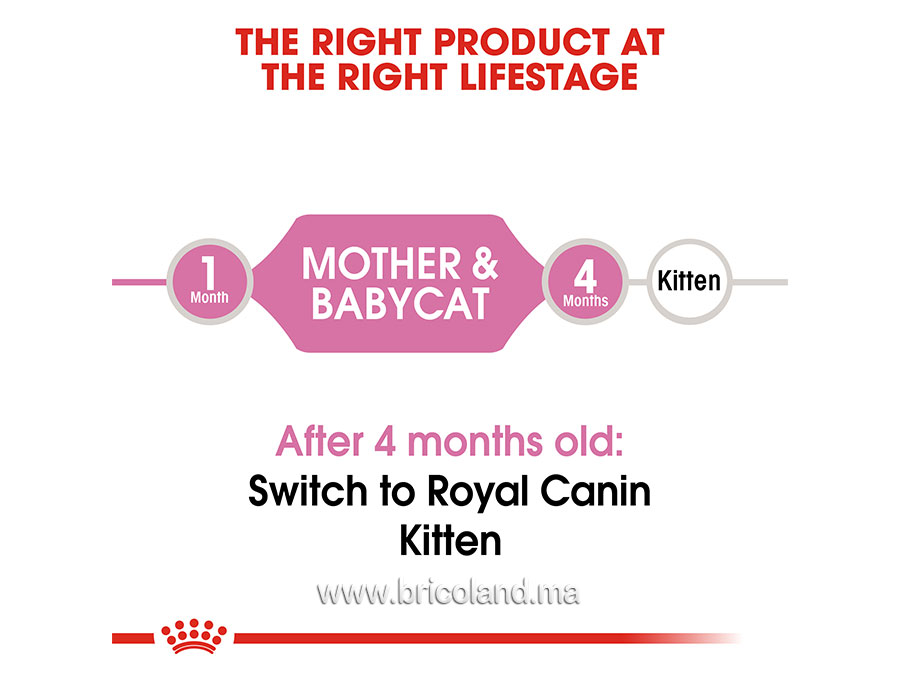 Mother & Babycat premier âge pour chatte et chaton - 2 Kg - Royal Canin-12053