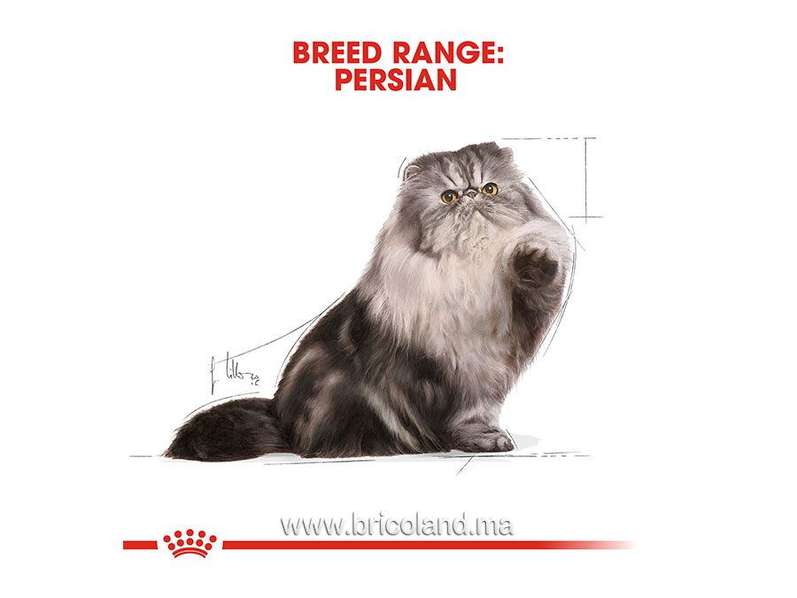 Croquettes pour chat Persian - 2 Kg - Royal Canin-12190