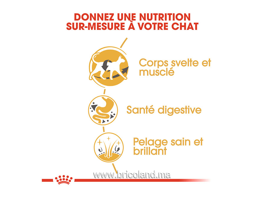 Croquettes pour chat Siamese - 2 kg - Royal Canin-12196