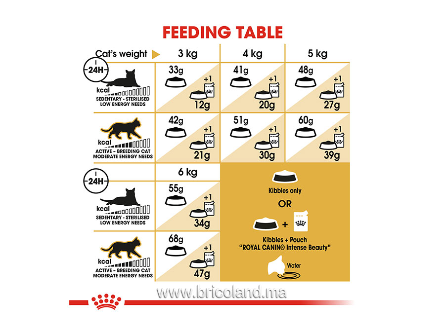 Croquettes pour chat Siamese - 2 kg - Royal Canin-12195