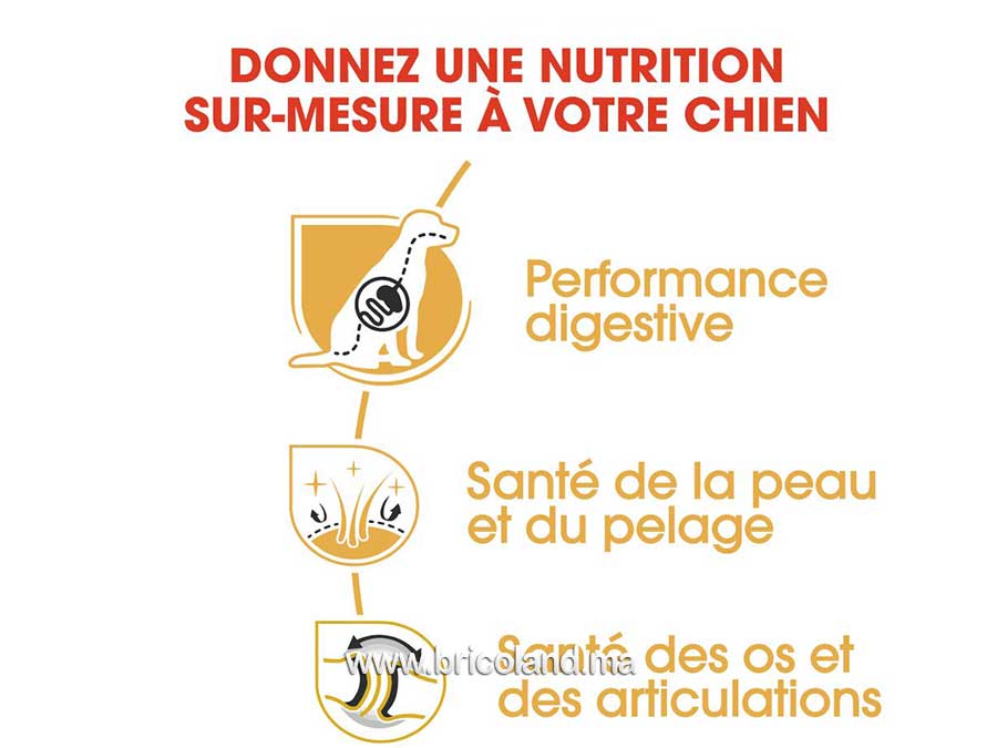 Croquettes pour chien berger allemand Adulte - 11 Kg - Royal Canin-12062