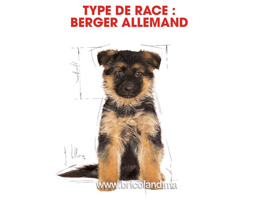 Croquettes pour chiot berger allemand Puppy - 3 Kg - Royal Canin-12275