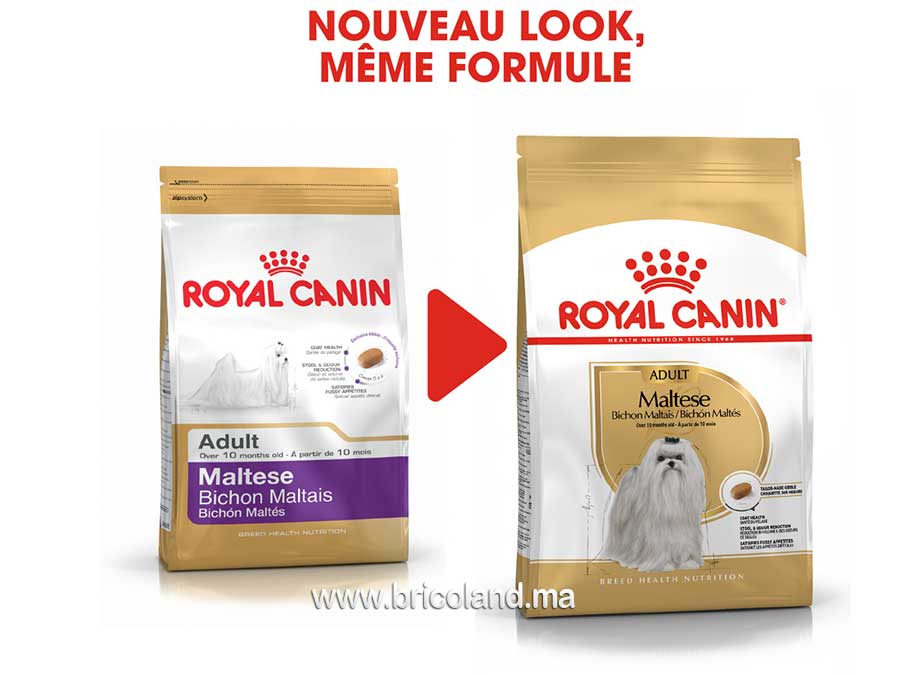 Croquettes pour chien Bichon Maltais Adulte - 1.5 Kg - Royal Canin-12069