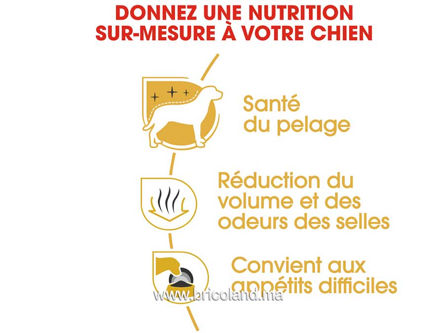 Croquettes pour chien Bichon Maltais Adulte - 1.5 Kg - Royal Canin-12072