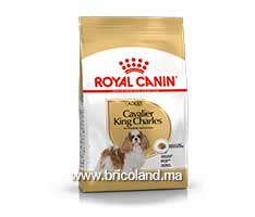 Croquettes pour chien Cavalier King Charlese Adulte - 1.5 Kg - Royal Canin-thumbnail