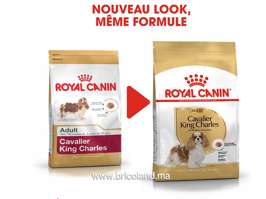 Croquettes pour chien Cavalier King Charlese Adulte - 1.5 Kg - Royal Canin-12159