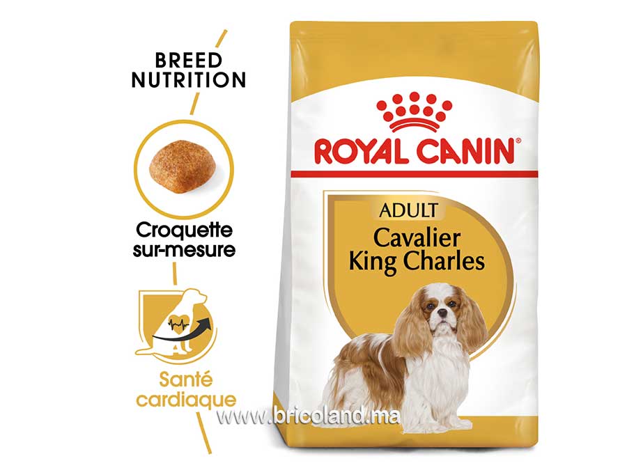 Croquettes pour chien Cavalier King Charlese Adulte - 1.5 Kg - Royal Canin-12157