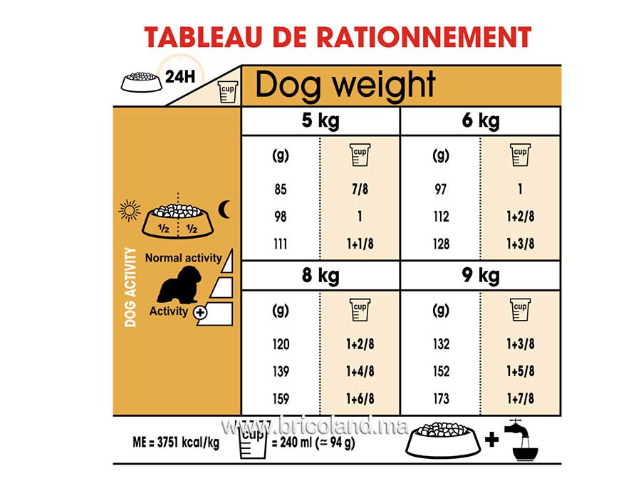 Croquettes pour chien Cavalier King Charlese Adulte - 1.5 Kg - Royal Canin-12155