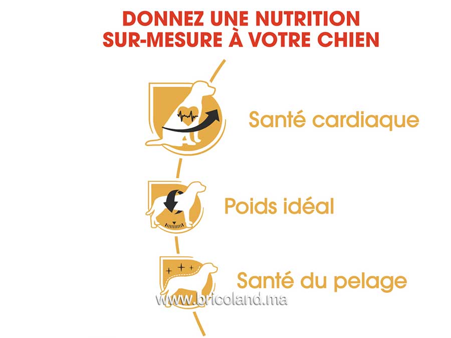 Croquettes pour chien Cavalier King Charlese Adulte - 1.5 Kg - Royal Canin-12158