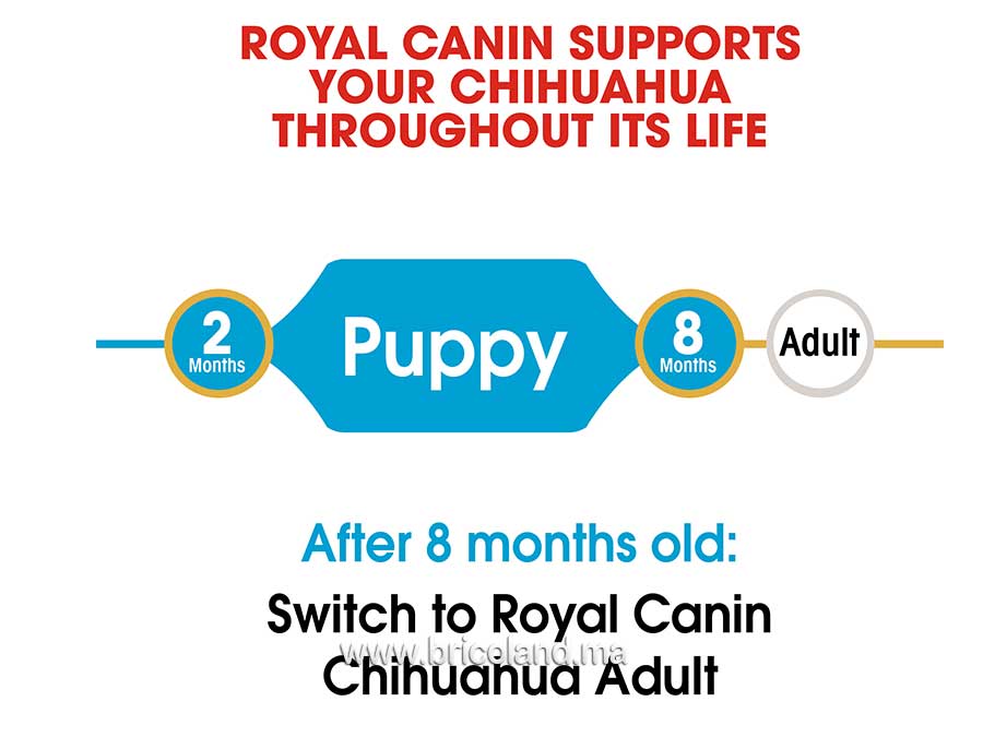 Croquettes pour chiot Chihuahua Puppy - 1.5 Kg - Royal Canin-12240