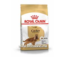 Croquettes pour chien Cocker Adulte - 3 Kg - Royal Canin-thumbnail