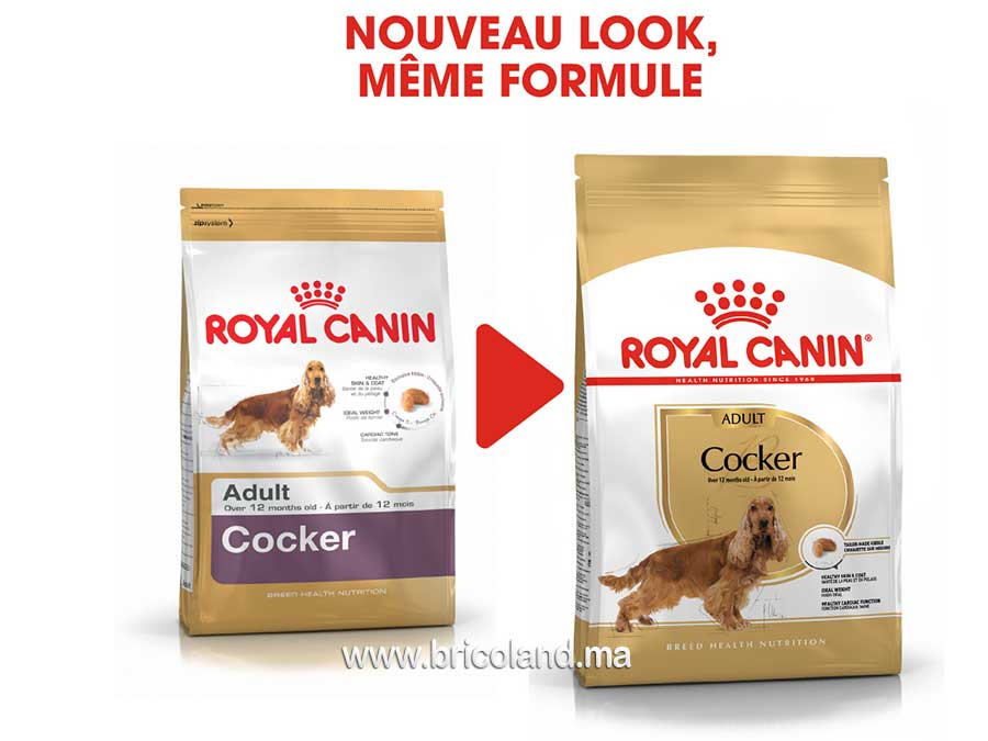 Croquettes pour chien Cocker Adulte - 3 Kg - Royal Canin-12169