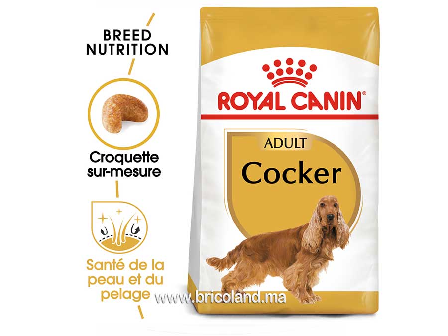 Croquettes pour chien Cocker Adulte - 3 Kg - Royal Canin-12170
