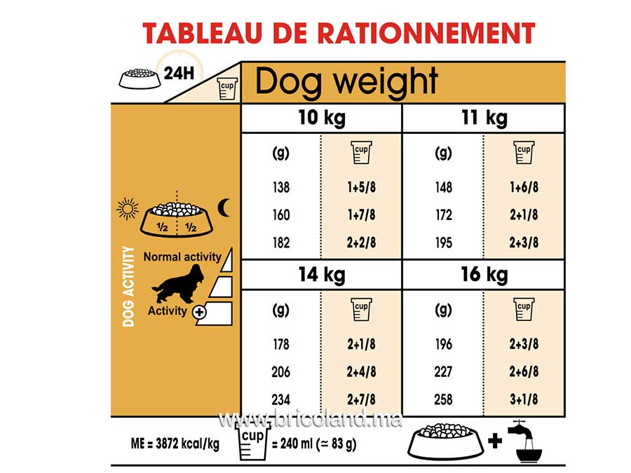 Croquettes pour chien Cocker Adulte - 3 Kg - Royal Canin-12168