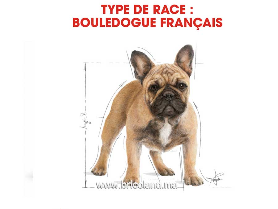 Croquettes pour chien French Bulldog + de 12 mois - 3 Kg - Royal Canin-12097