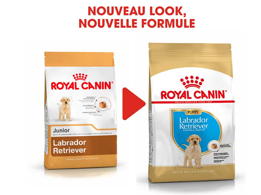 Croquettes pour chiot Labrador Retriever Puppy 12 Kg - Royal Canin-12281