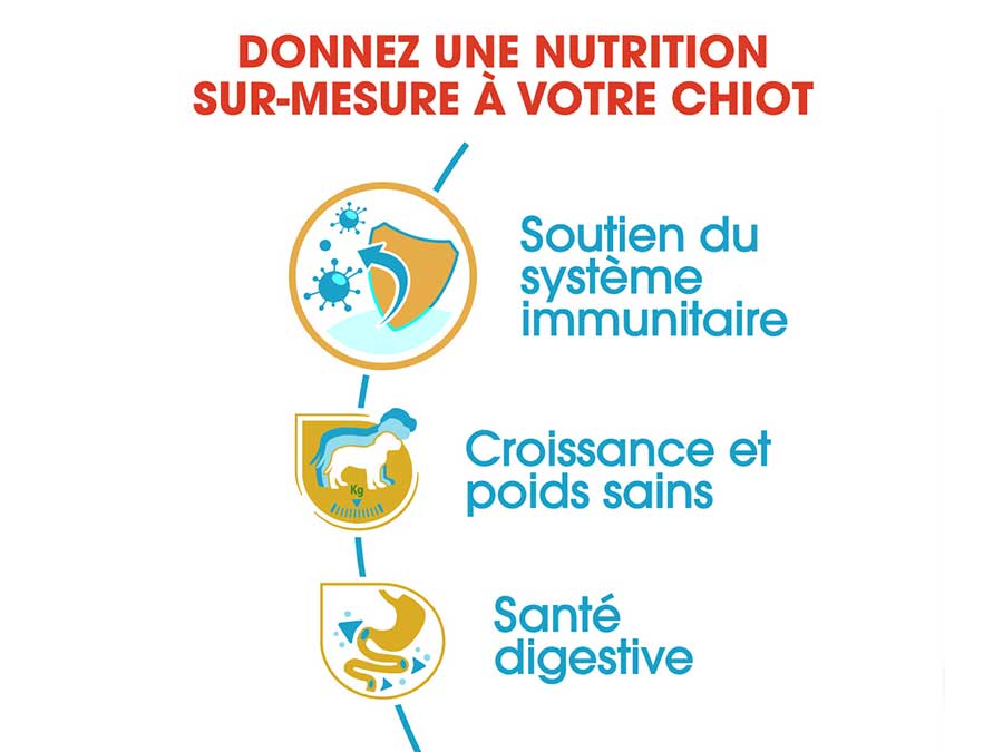 Croquettes pour chiot Labrador Retriever Puppy 12 Kg - Royal Canin-12279