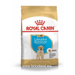 Croquettes pour chiot Labrador Retriever Puppy - 3 Kg - Royal Canin-0