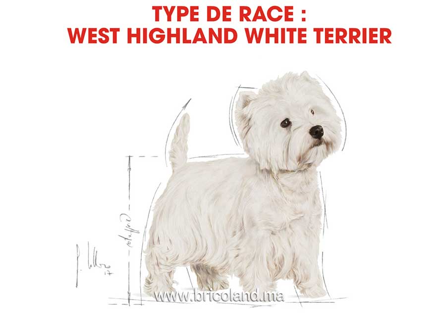 Croquettes pour chien West Highland White Terrier Adulte - 3 Kg - Royal Canin-12220