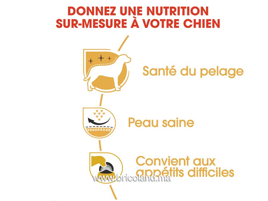 Croquettes pour chien West Highland White Terrier Adulte - 3 Kg - Royal Canin-12222