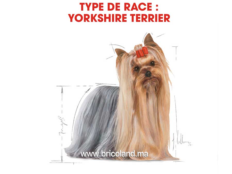 Croquettes pour chien Yorkshire Terrier Adulte - 1.5 Kg - Royal Canin-12225