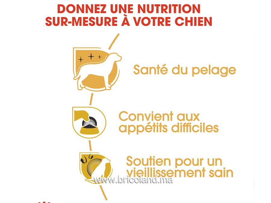 Croquettes pour chien Yorkshire Terrier Adulte - 1.5 Kg - Royal Canin-12227