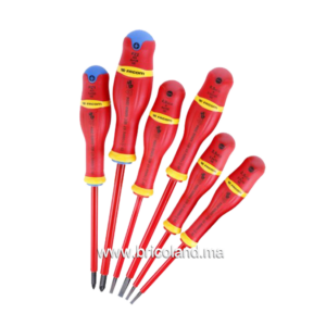 Jeu de 6 tournevis isolés 1000 volts ATDVE.J6PB - Facom-0