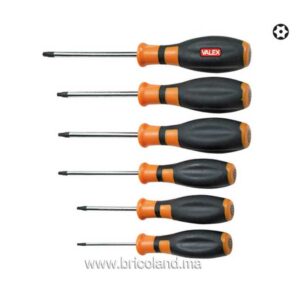 Jeu de 6 tournevis torx 1463812 - Valex-0